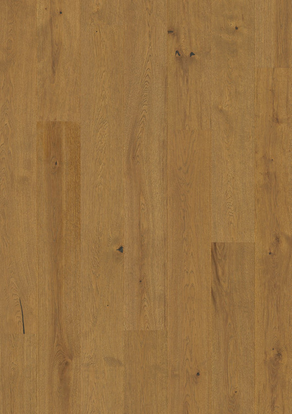Parquet semi-massif Pergo Lofoten Chêne Caramel 13 mm - vue de dessus de la lame