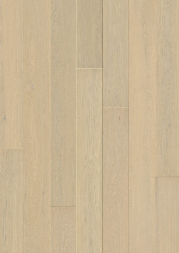 Parquet semi-massif Pergo Svalbard Chêne Givré 13 mm - vue de dessus de la lame