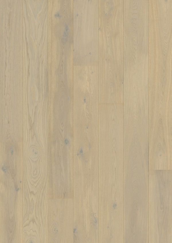 Parquet semi-massif Pergo Svalbard Chêne Laponie 13 mm - vue de dessus de la lame