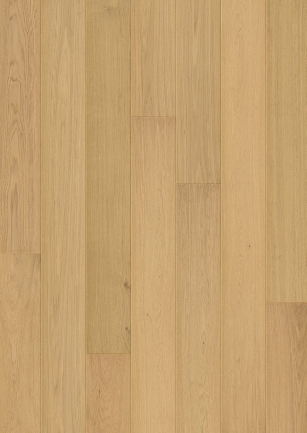 Parquet semi-massif Pergo Svalbard Chêne Champêtre 13 mm - vue de dessus de la lame