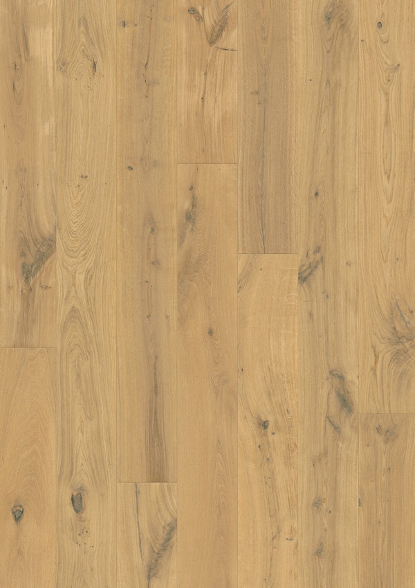 Parquet semi-massif Pergo Svalbard Chêne Sublime 13 mm - vue de dessus de la lame