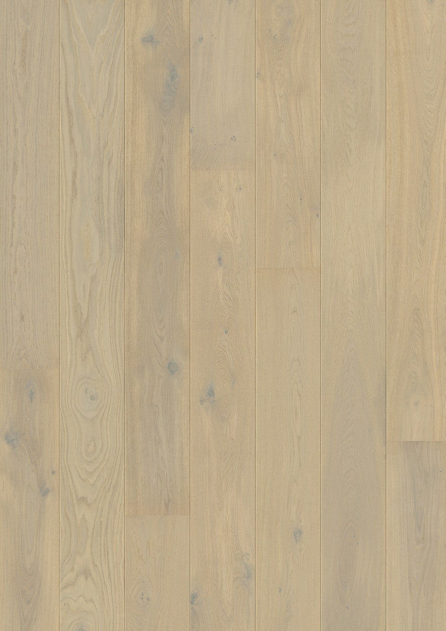 Parquet semi-massif Pergo Svalbard Chêne Laponie 13 mm - vue de dessus de la lame